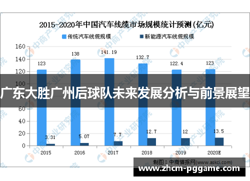 广东大胜广州后球队未来发展分析与前景展望