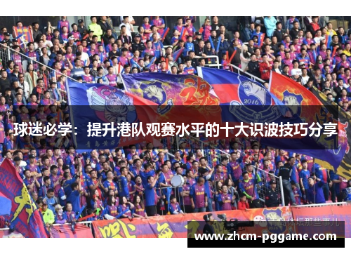 球迷必学：提升港队观赛水平的十大识波技巧分享