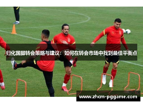 归化国脚转会策略与建议：如何在转会市场中找到最佳平衡点