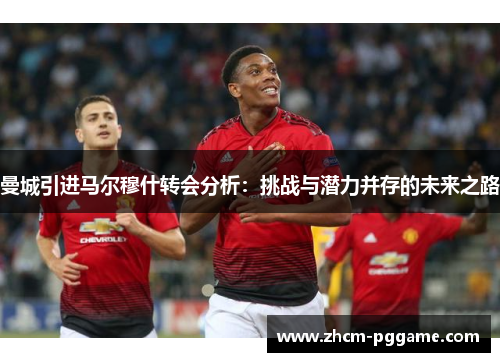 曼城引进马尔穆什转会分析:挑战与潜力并存的未来之路 曼城引进马尔穆什转会分析:挑战与潜力并存的未来之路