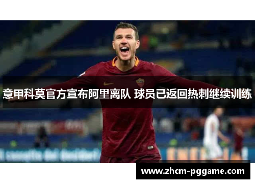 意甲科莫官方宣布阿里离队 球员已返回热刺继续训练